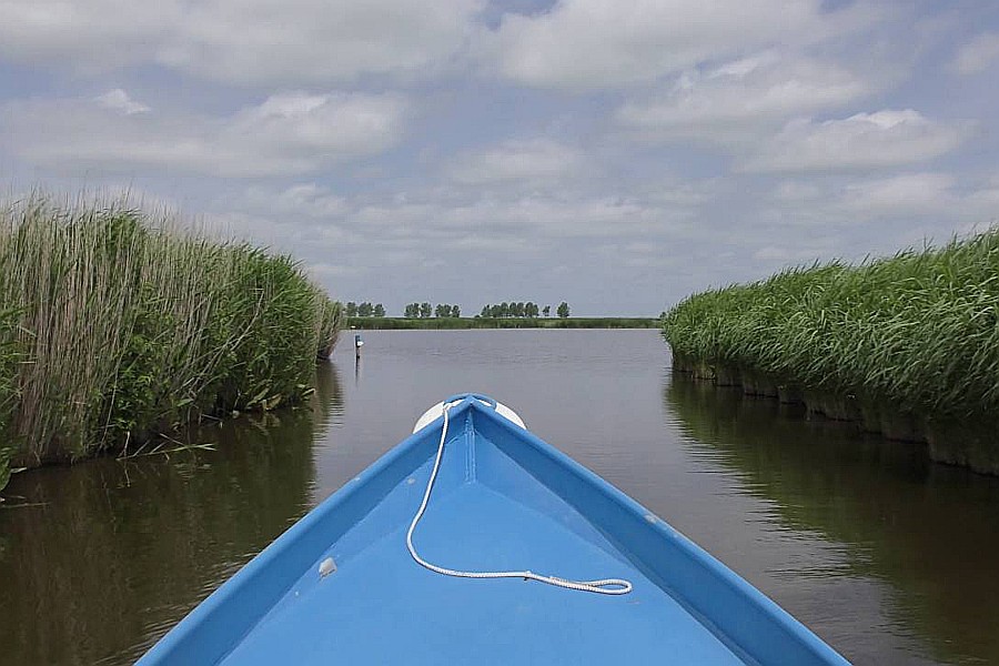 Boottocht op de Zaan vanuit B&B Saenliefde in Wormer